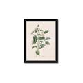Picture of Swaying Foliage IV _GroupedProduct_Rectangle_Portrait_Framed_Matted_