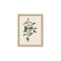 Picture of Swaying Foliage IV _GroupedProduct_Rectangle_Portrait_Framed_Matted_