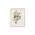 Picture of Swaying Foliage IV _GroupedProduct_Rectangle_Portrait_Framed_Matted_