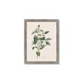 Picture of Swaying Foliage IV _GroupedProduct_Rectangle_Portrait_Framed_Matted_