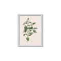 Picture of Swaying Foliage IV _GroupedProduct_Rectangle_Portrait_Framed_Matted_