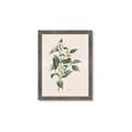 Picture of Swaying Foliage IV _GroupedProduct_Rectangle_Portrait_Framed_Matted_