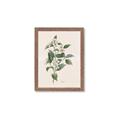 Picture of Swaying Foliage IV _GroupedProduct_Rectangle_Portrait_Framed_Matted_
