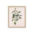 Picture of Swaying Foliage IV _GroupedProduct_Rectangle_Portrait_Framed_Matted_