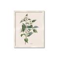 Picture of Swaying Foliage IV _GroupedProduct_Rectangle_Portrait_Framed_Matted_