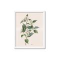 Picture of Swaying Foliage IV _GroupedProduct_Rectangle_Portrait_Framed_Matted_