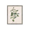 Picture of Swaying Foliage IV _GroupedProduct_Rectangle_Portrait_Framed_Matted_