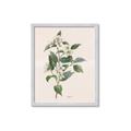 Picture of Swaying Foliage IV _GroupedProduct_Rectangle_Portrait_Framed_Matted_