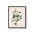 Picture of Swaying Foliage IV _GroupedProduct_Rectangle_Portrait_Framed_Matted_