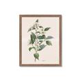 Picture of Swaying Foliage IV _GroupedProduct_Rectangle_Portrait_Framed_Matted_