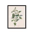 Picture of Swaying Foliage IV _GroupedProduct_Rectangle_Portrait_Framed_Matted_