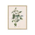 Picture of Swaying Foliage IV _GroupedProduct_Rectangle_Portrait_Framed_Matted_