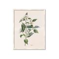 Picture of Swaying Foliage IV _GroupedProduct_Rectangle_Portrait_Framed_Matted_