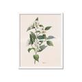 Picture of Swaying Foliage IV _GroupedProduct_Rectangle_Portrait_Framed_Matted_