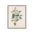 Picture of Swaying Foliage IV _GroupedProduct_Rectangle_Portrait_Framed_Matted_