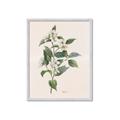 Picture of Swaying Foliage IV _GroupedProduct_Rectangle_Portrait_Framed_Matted_
