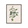 Picture of Swaying Foliage IV _GroupedProduct_Rectangle_Portrait_Framed_Matted_