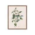 Picture of Swaying Foliage IV _GroupedProduct_Rectangle_Portrait_Framed_Matted_