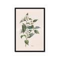 Picture of Swaying Foliage IV _GroupedProduct_Rectangle_Portrait_Framed_Matted_