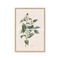 Picture of Swaying Foliage IV _GroupedProduct_Rectangle_Portrait_Framed_Matted_