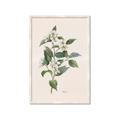 Picture of Swaying Foliage IV _GroupedProduct_Rectangle_Portrait_Framed_Matted_