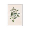 Picture of Swaying Foliage IV _GroupedProduct_Rectangle_Portrait_Framed_Matted_