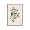 Picture of Swaying Foliage IV _GroupedProduct_Rectangle_Portrait_Framed_Matted_