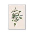 Picture of Swaying Foliage IV _GroupedProduct_Rectangle_Portrait_Framed_Matted_