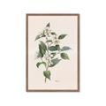 Picture of Swaying Foliage IV _GroupedProduct_Rectangle_Portrait_Framed_Matted_