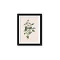 Picture of Swaying Foliage IV _GroupedProduct_Rectangle_Portrait_Framed_Matted_