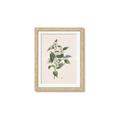 Picture of Swaying Foliage IV _GroupedProduct_Rectangle_Portrait_Framed_Matted_