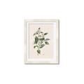 Picture of Swaying Foliage IV _GroupedProduct_Rectangle_Portrait_Framed_Matted_