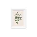 Picture of Swaying Foliage IV _GroupedProduct_Rectangle_Portrait_Framed_Matted_