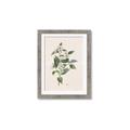 Picture of Swaying Foliage IV _GroupedProduct_Rectangle_Portrait_Framed_Matted_