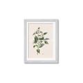 Picture of Swaying Foliage IV _GroupedProduct_Rectangle_Portrait_Framed_Matted_