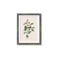Picture of Swaying Foliage IV _GroupedProduct_Rectangle_Portrait_Framed_Matted_