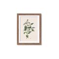 Picture of Swaying Foliage IV _GroupedProduct_Rectangle_Portrait_Framed_Matted_