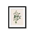 Picture of Swaying Foliage IV _GroupedProduct_Rectangle_Portrait_Framed_Matted_