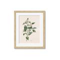Picture of Swaying Foliage IV _GroupedProduct_Rectangle_Portrait_Framed_Matted_