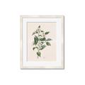 Picture of Swaying Foliage IV _GroupedProduct_Rectangle_Portrait_Framed_Matted_