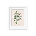 Picture of Swaying Foliage IV _GroupedProduct_Rectangle_Portrait_Framed_Matted_