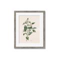 Picture of Swaying Foliage IV _GroupedProduct_Rectangle_Portrait_Framed_Matted_