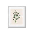 Picture of Swaying Foliage IV _GroupedProduct_Rectangle_Portrait_Framed_Matted_