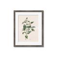 Picture of Swaying Foliage IV _GroupedProduct_Rectangle_Portrait_Framed_Matted_