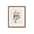 Picture of Swaying Foliage IV _GroupedProduct_Rectangle_Portrait_Framed_Matted_