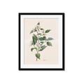 Picture of Swaying Foliage IV _GroupedProduct_Rectangle_Portrait_Framed_Matted_