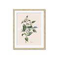 Picture of Swaying Foliage IV _GroupedProduct_Rectangle_Portrait_Framed_Matted_