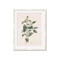Picture of Swaying Foliage IV _GroupedProduct_Rectangle_Portrait_Framed_Matted_