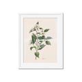 Picture of Swaying Foliage IV _GroupedProduct_Rectangle_Portrait_Framed_Matted_
