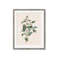 Picture of Swaying Foliage IV _GroupedProduct_Rectangle_Portrait_Framed_Matted_